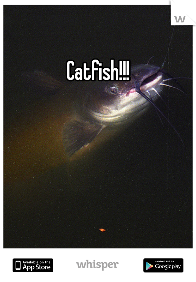 Catfish!!!