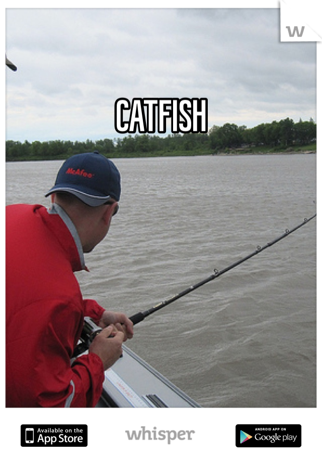 CATFISH