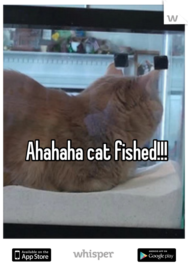 Ahahaha cat fished!!! 