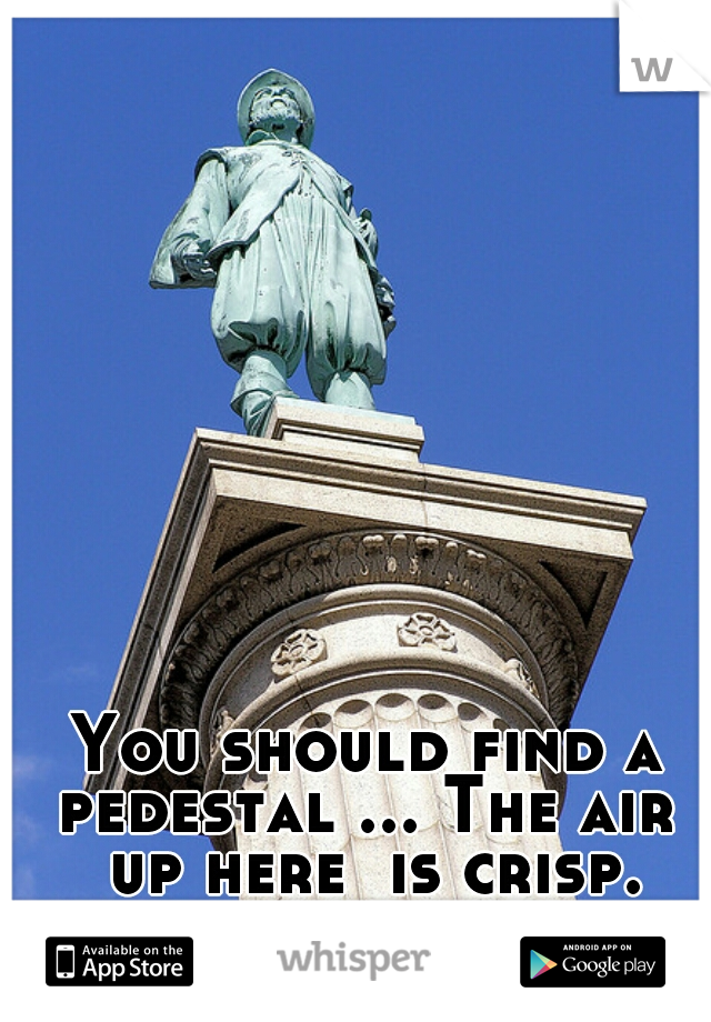 You should find a pedestal ... The air  up here  is crisp.