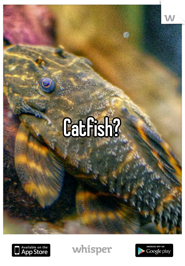 Catfish?