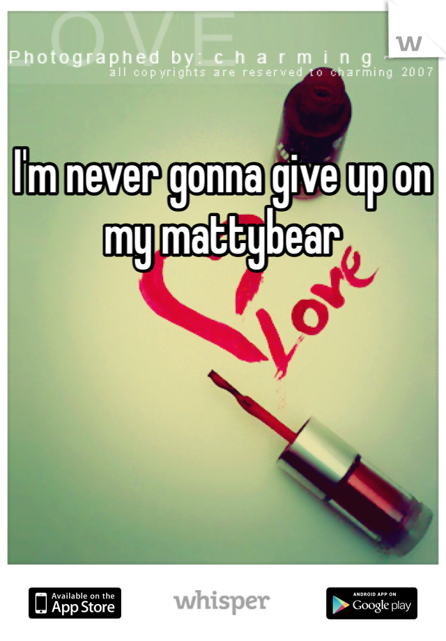 I'm never gonna give up on my mattybear