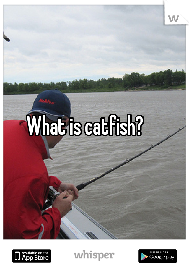 What is catfish? 