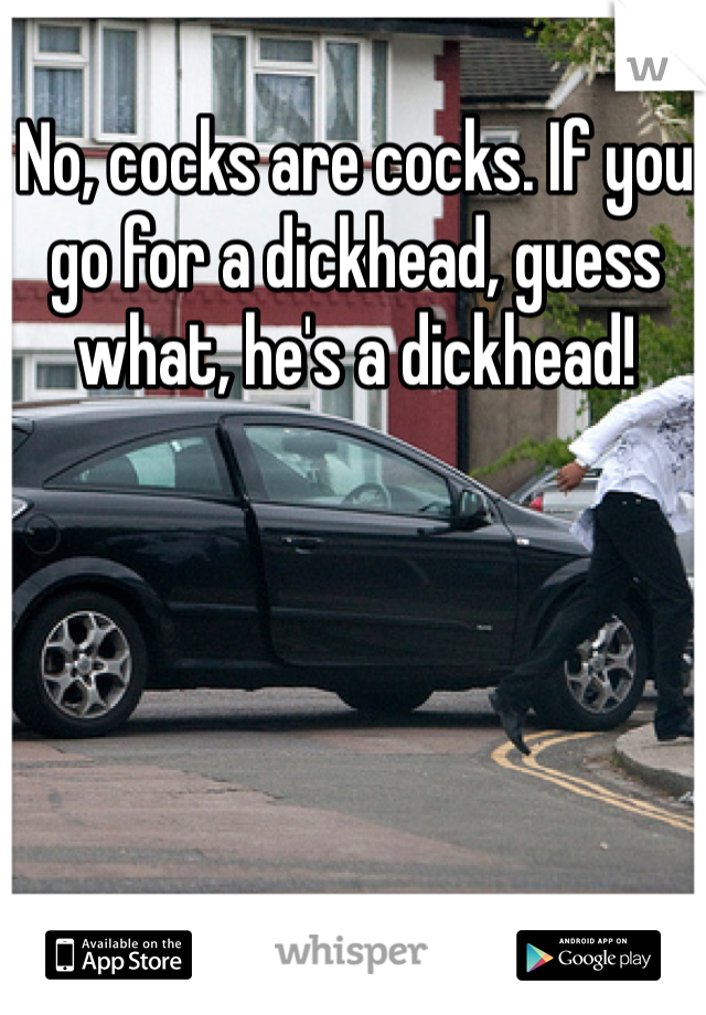 No, cocks are cocks. If you go for a dickhead, guess what, he's a dickhead!