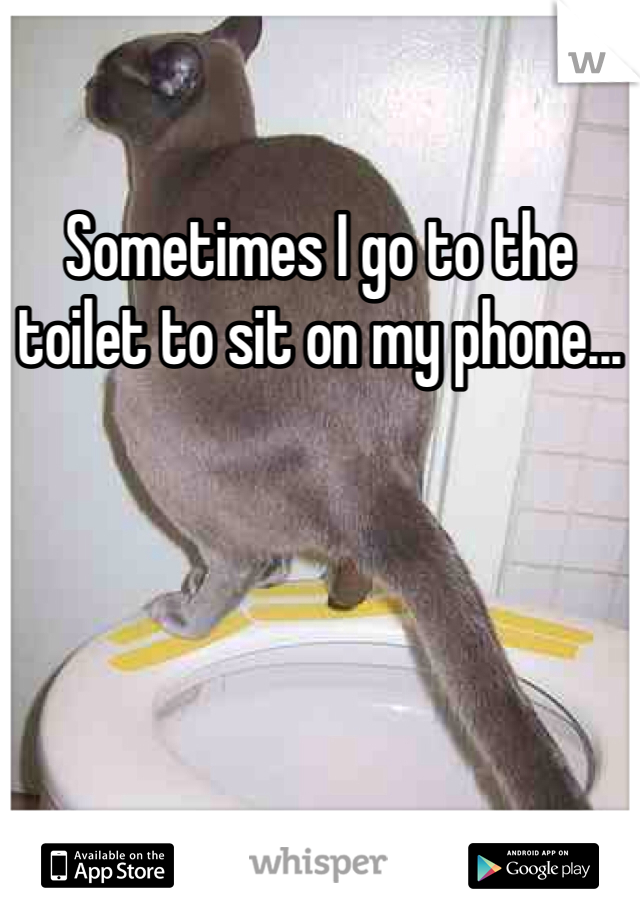 Sometimes I go to the toilet to sit on my phone...