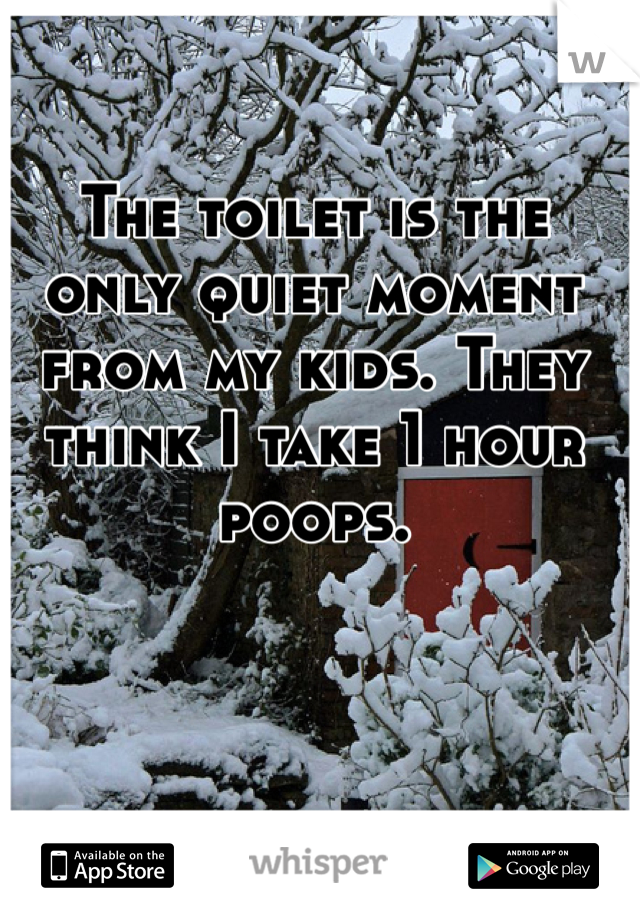 The toilet is the only quiet moment from my kids. They think I take 1 hour poops. 