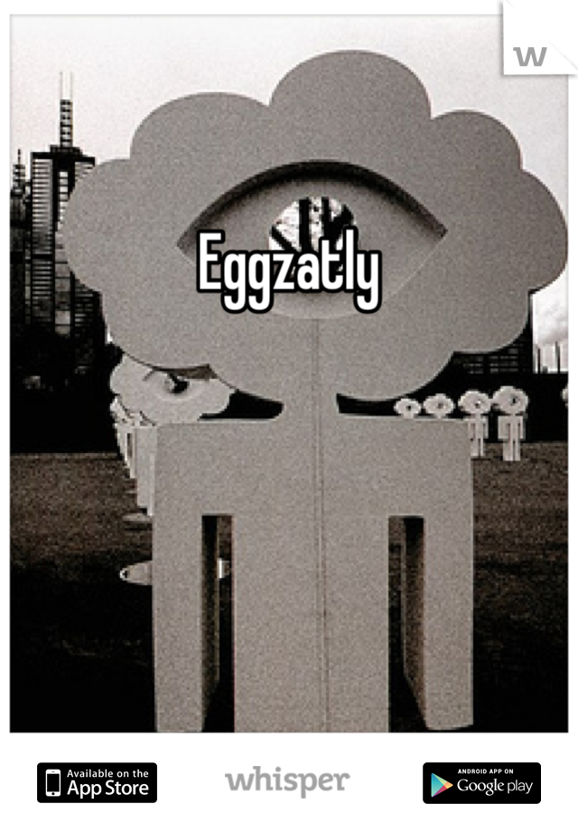 Eggzatly