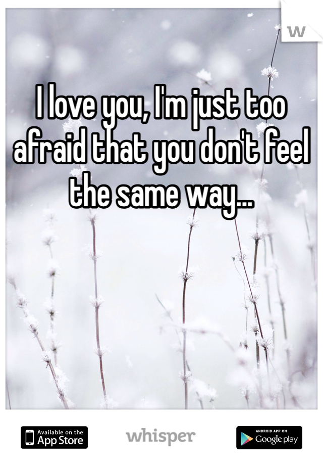 I love you, I'm just too afraid that you don't feel the same way...