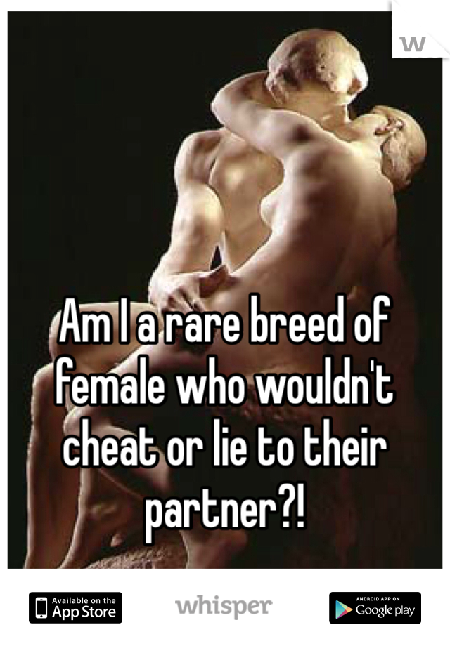 



Am I a rare breed of female who wouldn't cheat or lie to their partner?!