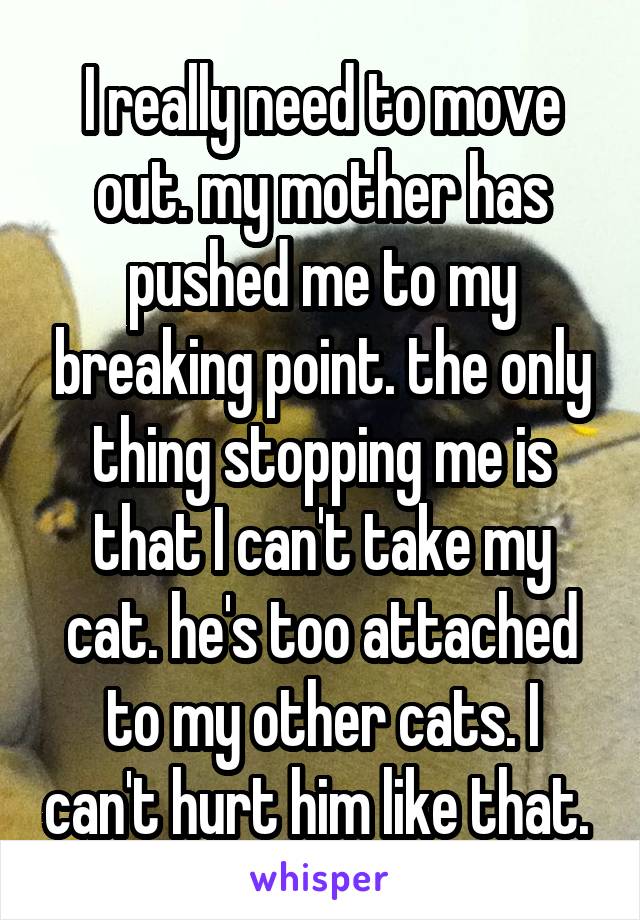 I really need to move out. my mother has pushed me to my breaking point. the only thing stopping me is that I can't take my cat. he's too attached to my other cats. I can't hurt him like that. 