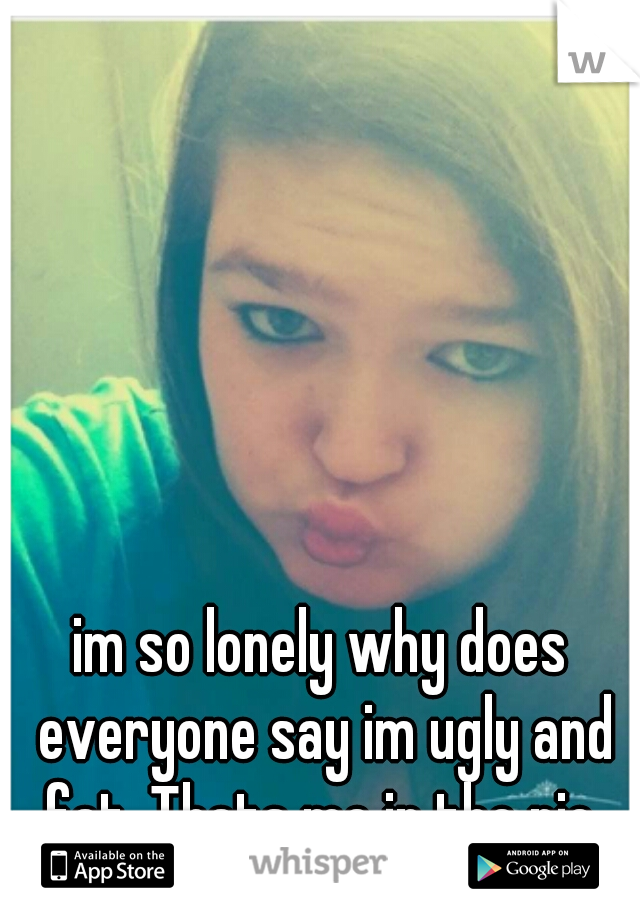 im so lonely why does everyone say im ugly and fat. Thats me in the pic 