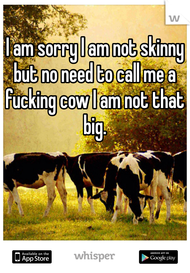 I am sorry I am not skinny but no need to call me a fucking cow I am not that big.  