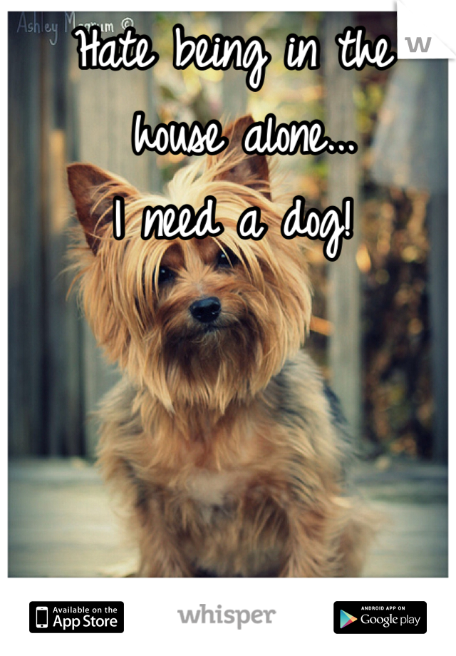 Hate being in the
 house alone... 
I need a dog! 