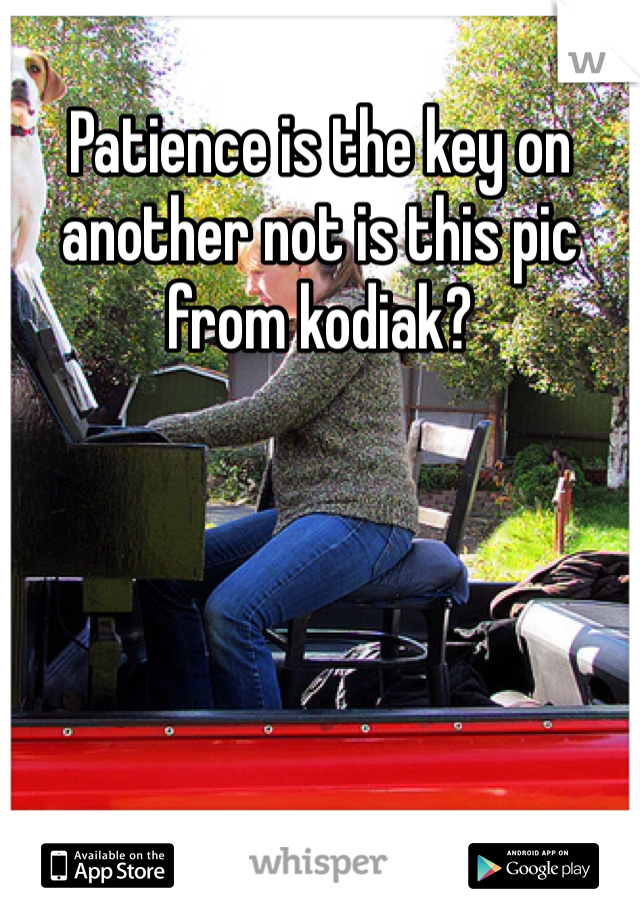 Patience is the key on another not is this pic from kodiak?
