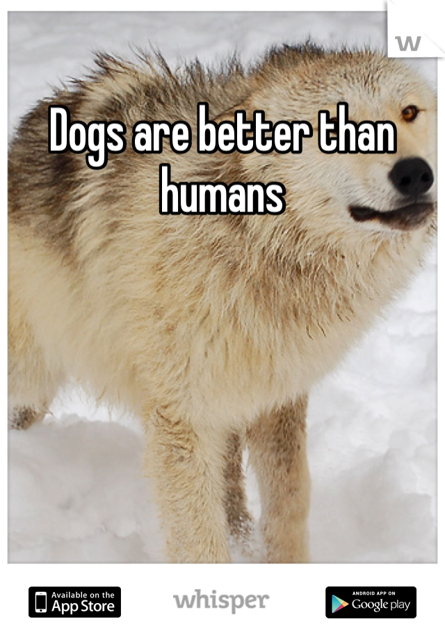 Dogs are better than humans