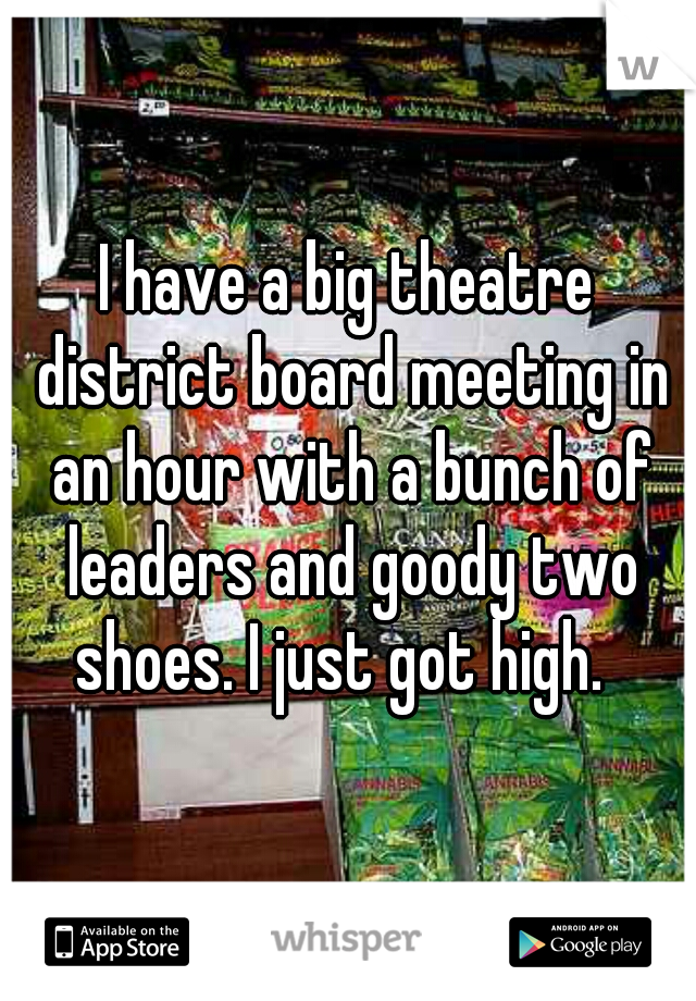 I have a big theatre district board meeting in an hour with a bunch of leaders and goody two shoes. I just got high.  