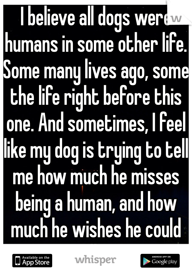 I believe all dogs were humans in some other life. Some many lives ago, some the life right before this one. And sometimes, I feel like my dog is trying to tell me how much he misses being a human, and how much he wishes he could just talk to me.