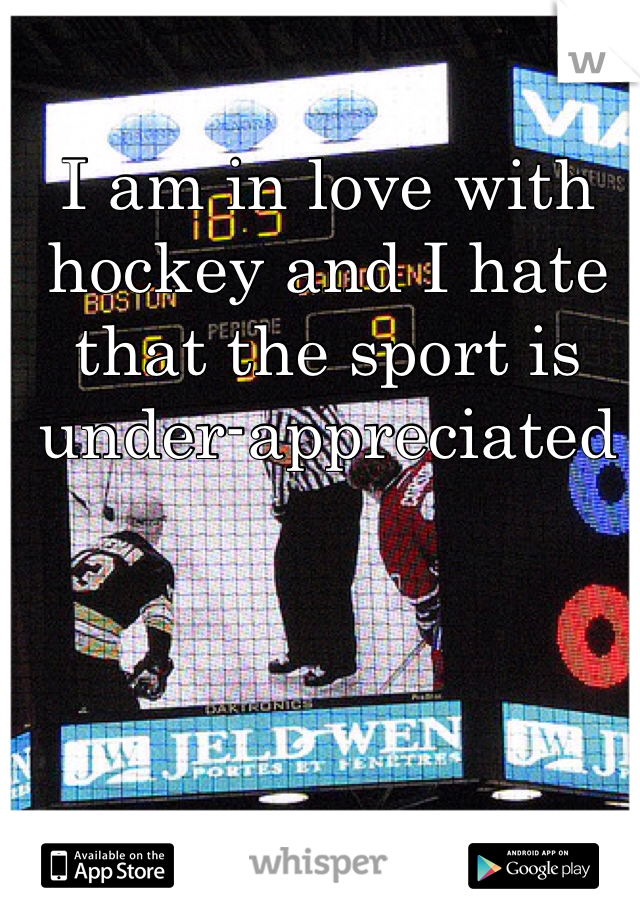 I am in love with hockey and I hate that the sport is under-appreciated