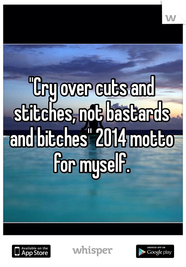 "Cry over cuts and stitches, not bastards and bitches" 2014 motto for myself. 