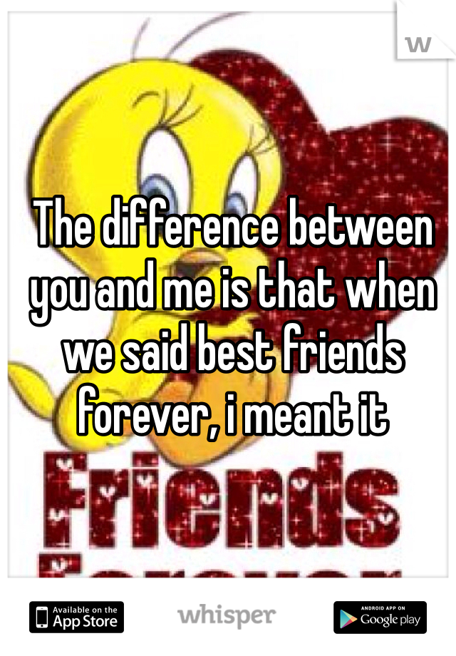 The difference between you and me is that when we said best friends forever, i meant it