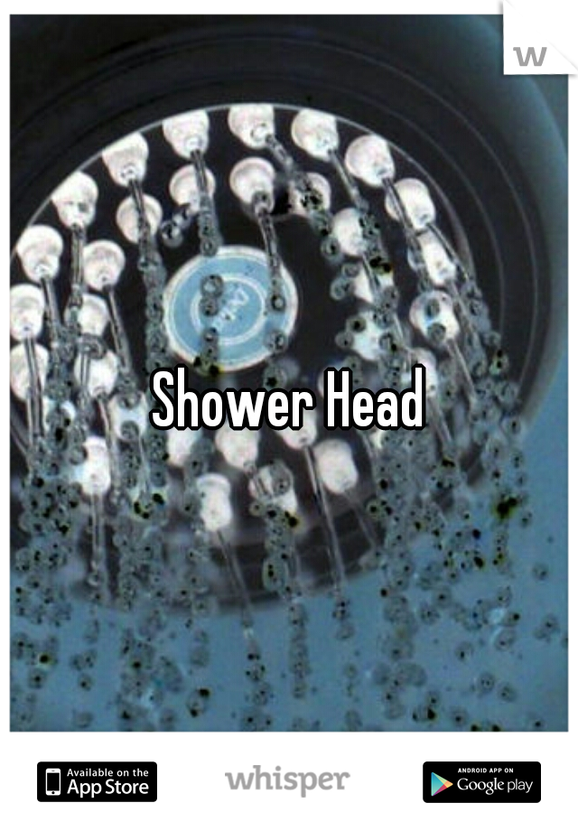 Shower Head
