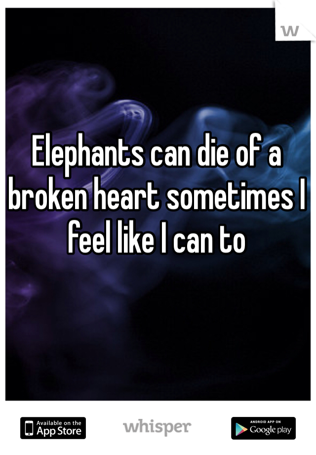 Elephants can die of a broken heart sometimes I feel like I can to