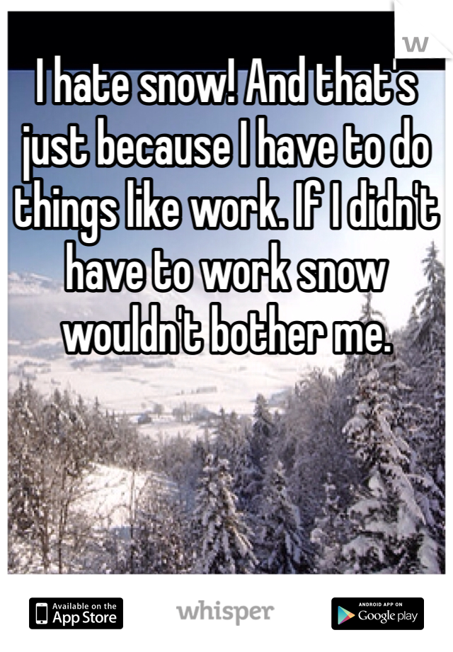 I hate snow! And that's just because I have to do things like work. If I didn't have to work snow wouldn't bother me. 