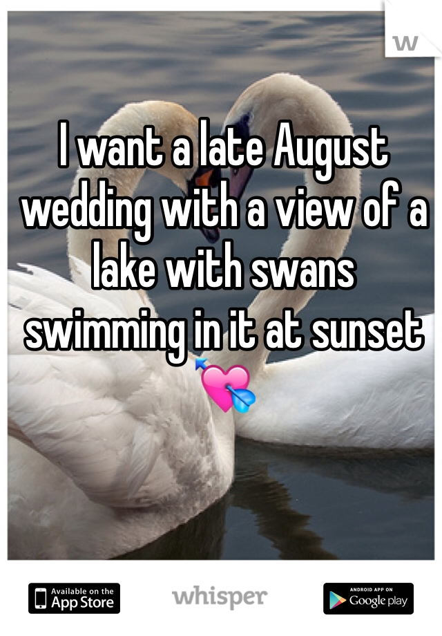 I want a late August wedding with a view of a lake with swans swimming in it at sunset 💘