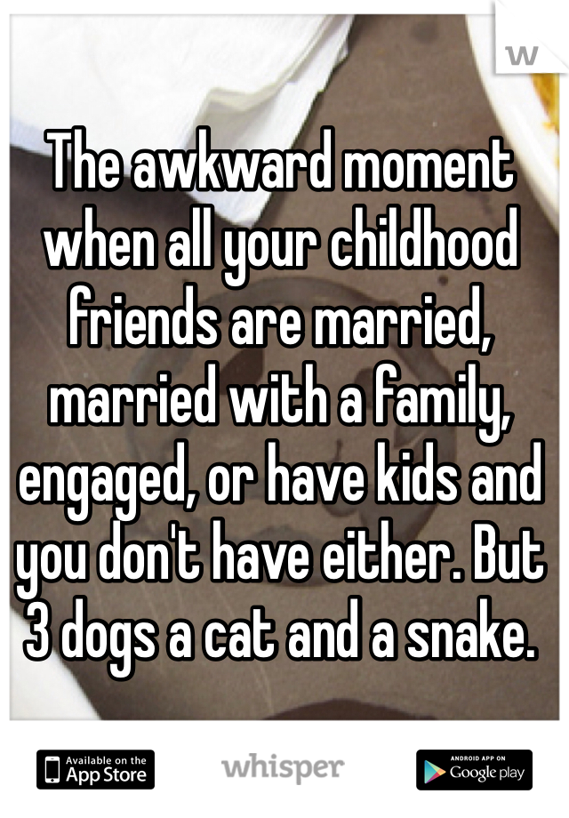 The awkward moment when all your childhood friends are married, married with a family, engaged, or have kids and you don't have either. But 3 dogs a cat and a snake. 