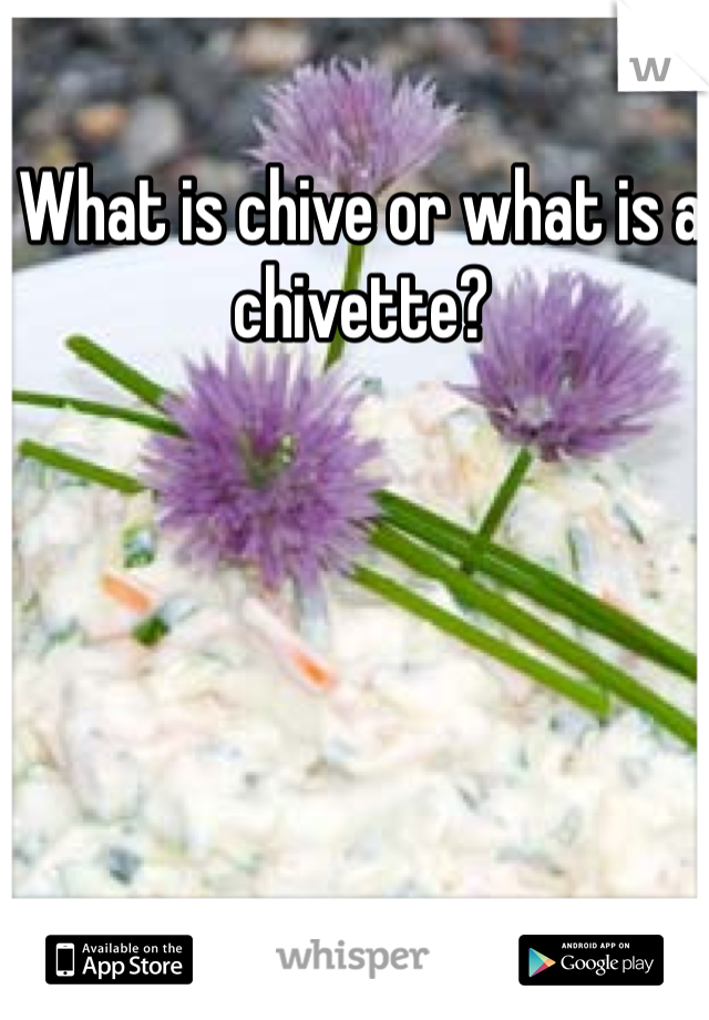 What is chive or what is a chivette?