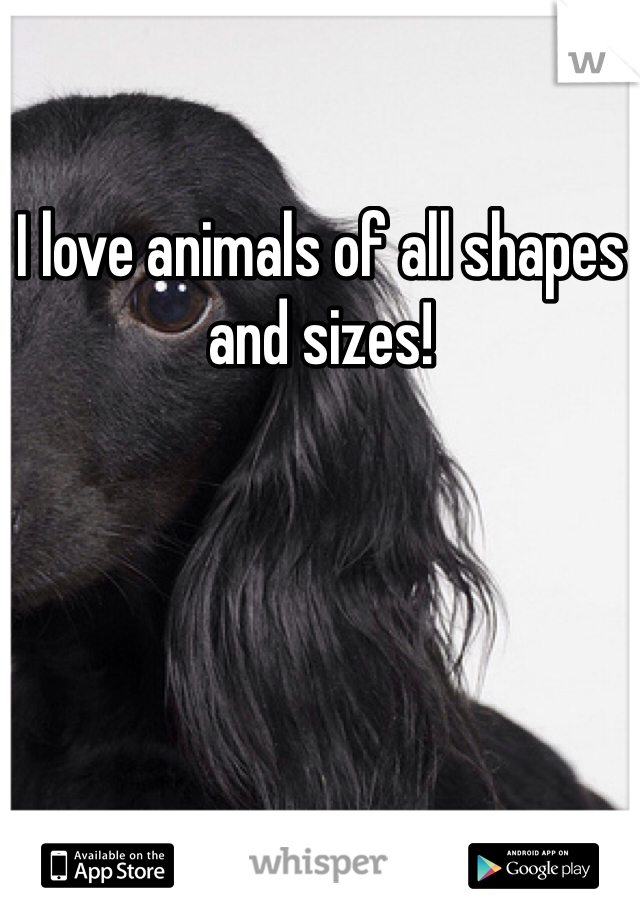 I love animals of all shapes and sizes! 