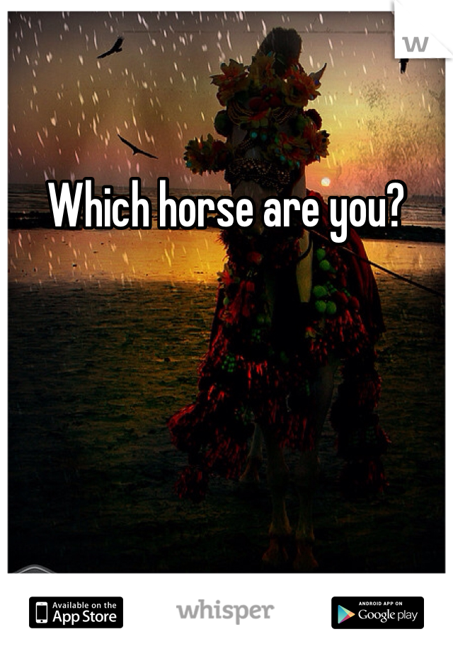 Which horse are you?