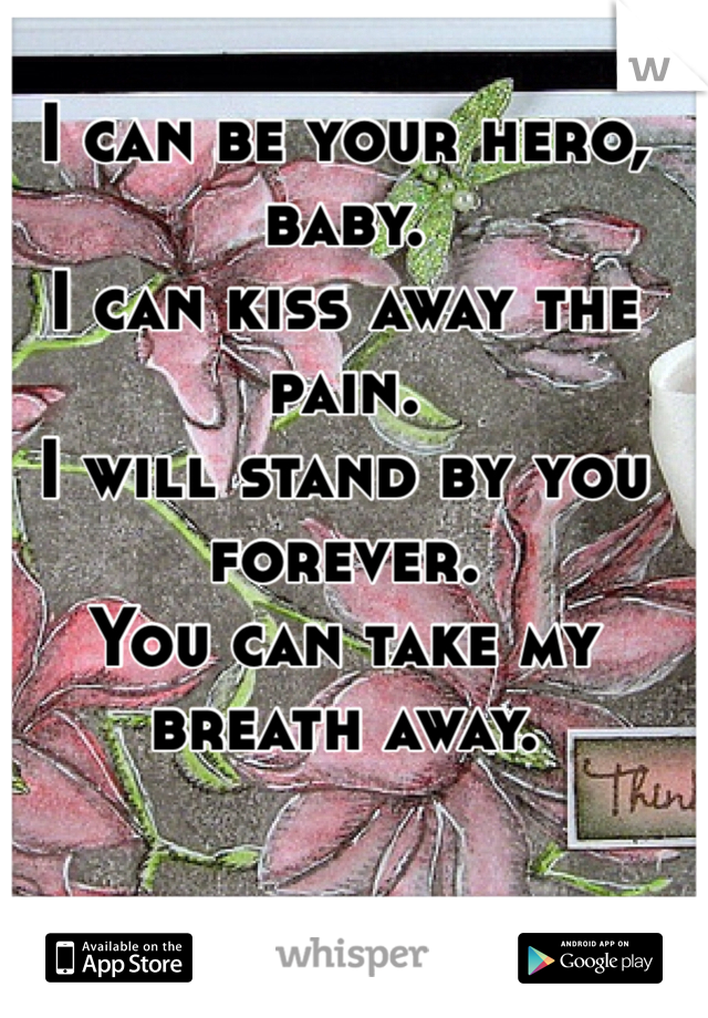 I can be your hero, baby.
I can kiss away the pain.
I will stand by you forever.
You can take my breath away.