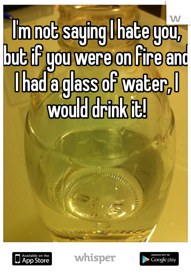 I'm not saying I hate you, but if you were on fire and I had a glass of water, I would drink it! 