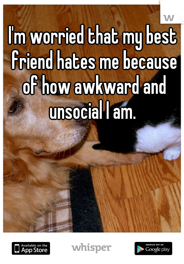 I'm worried that my best friend hates me because of how awkward and unsocial I am. 