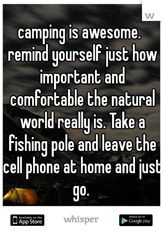 camping is awesome.  remind yourself just how important and comfortable the natural world really is. Take a fishing pole and leave the cell phone at home and just go. 