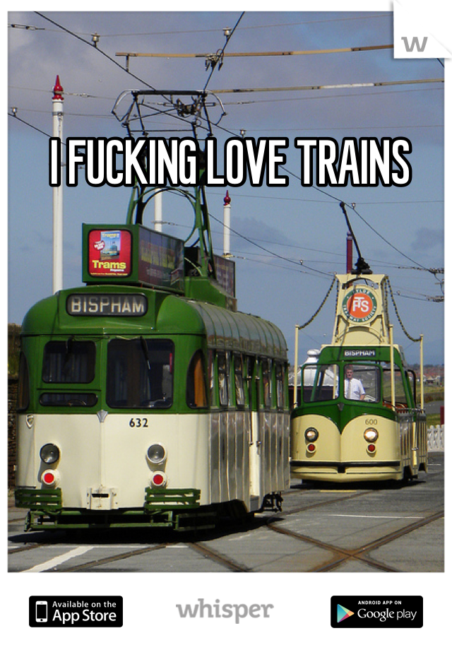  I FUCKING LOVE TRAINS