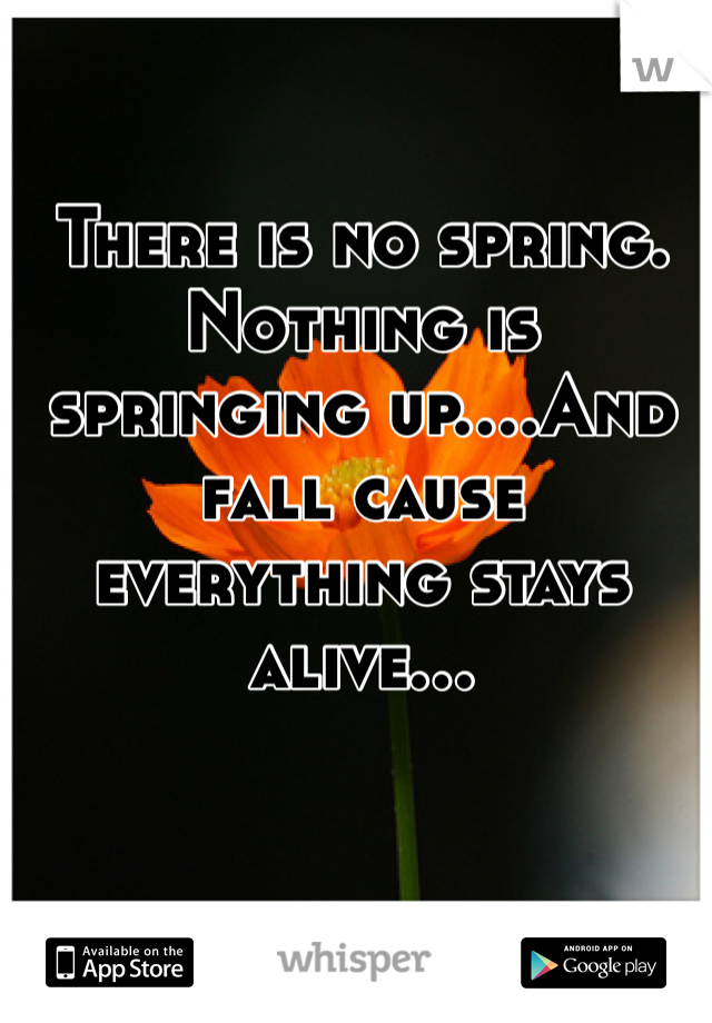 There is no spring. Nothing is springing up....And fall cause everything stays alive...
