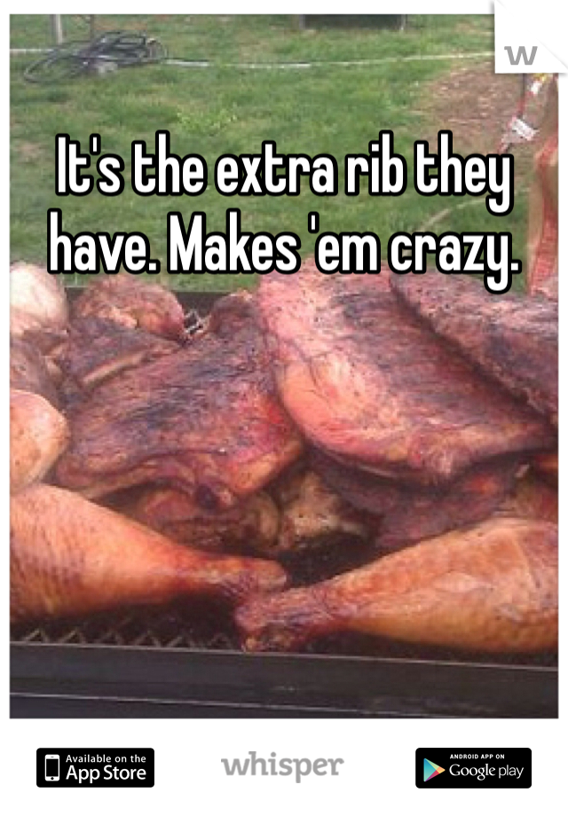 It's the extra rib they have. Makes 'em crazy. 