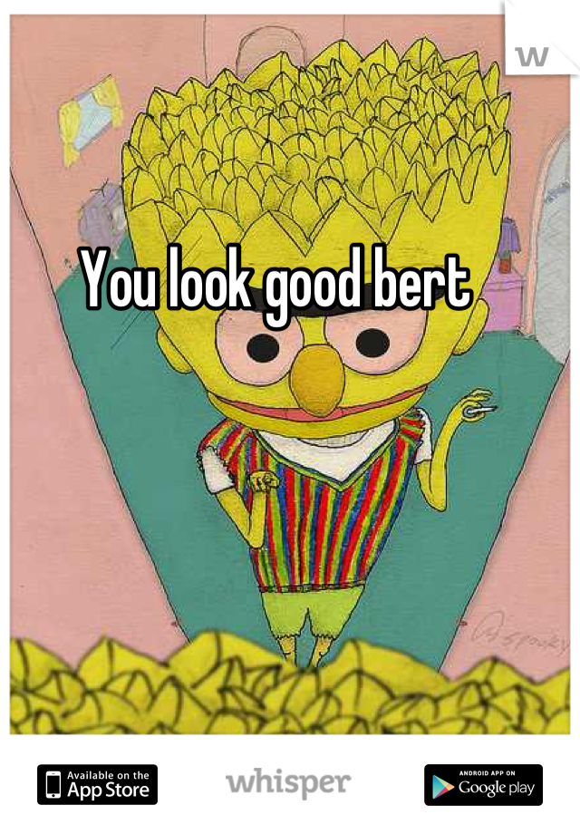 You look good bert