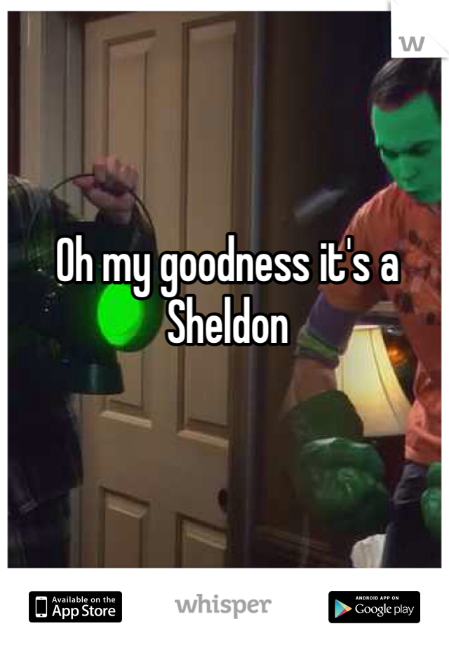 Oh my goodness it's a Sheldon 