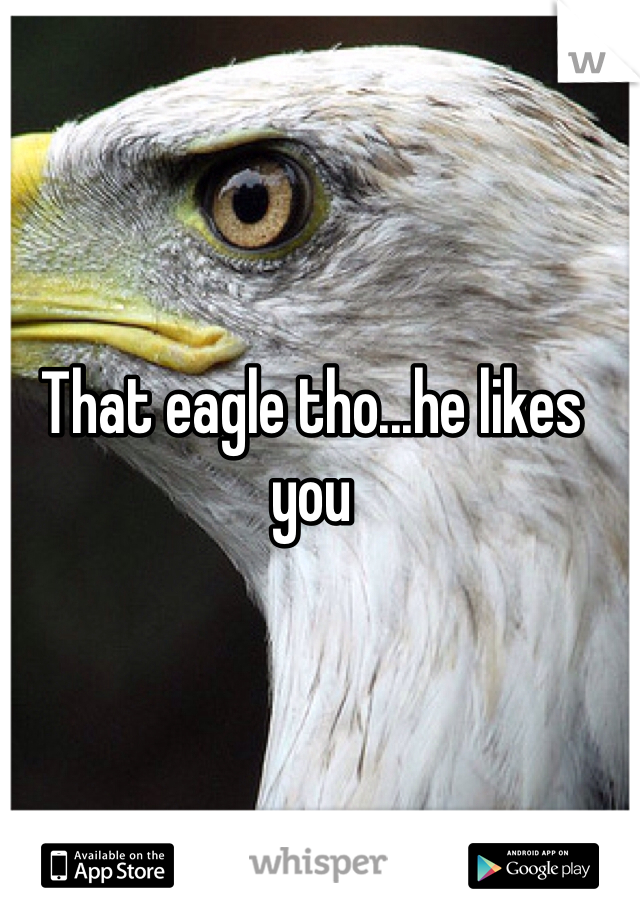That eagle tho...he likes you