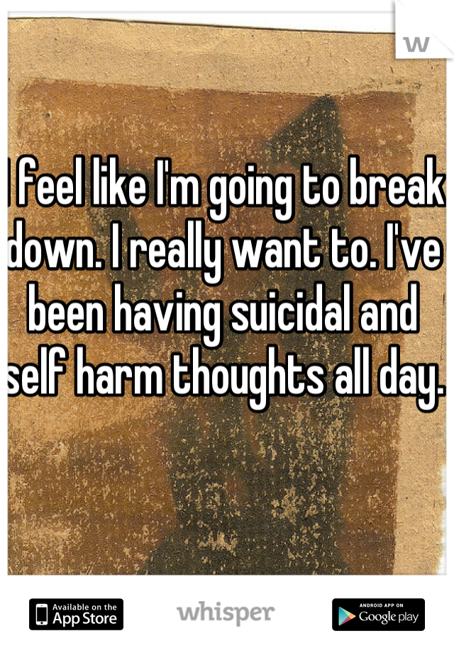 I feel like I'm going to break down. I really want to. I've been having suicidal and self harm thoughts all day. 