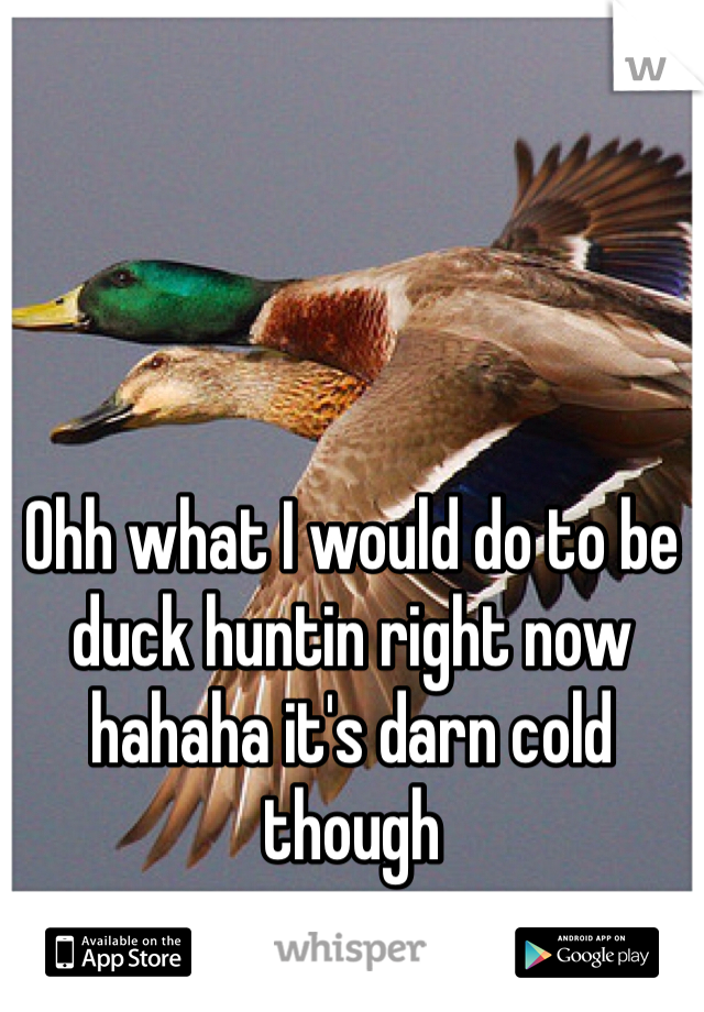 Ohh what I would do to be duck huntin right now hahaha it's darn cold though 