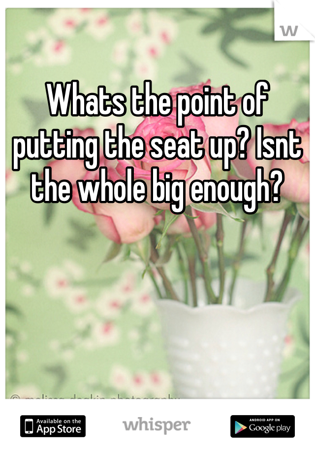 Whats the point of putting the seat up? Isnt the whole big enough? 
