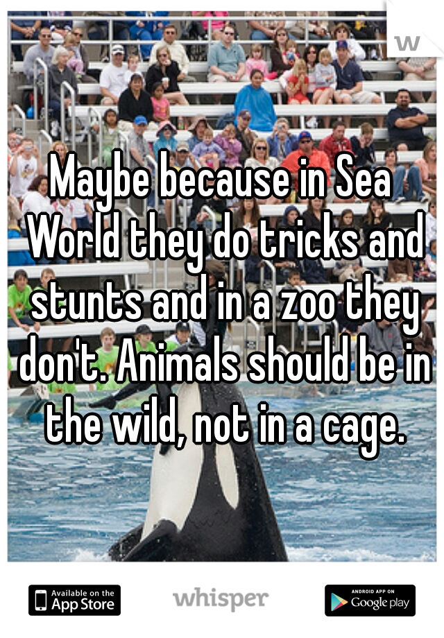 Maybe because in Sea World they do tricks and stunts and in a zoo they don't. Animals should be in the wild, not in a cage.