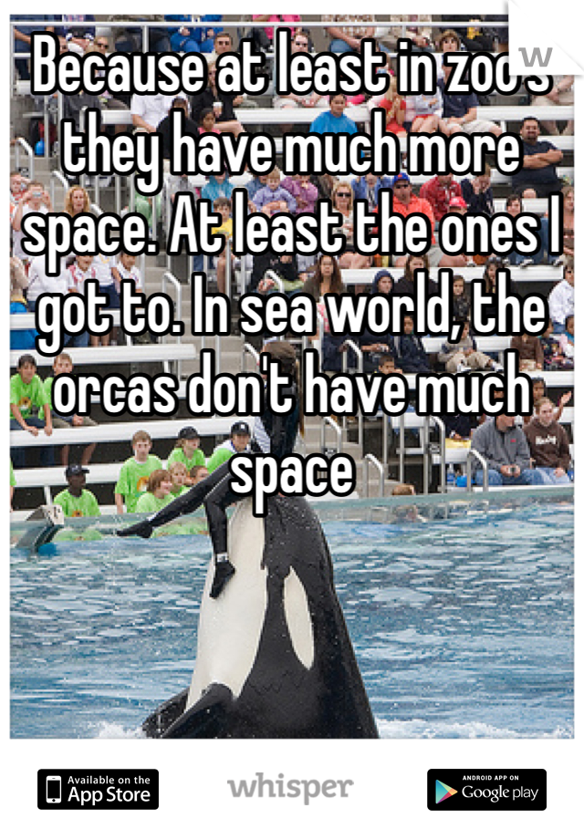 Because at least in zoo's they have much more space. At least the ones I got to. In sea world, the orcas don't have much space