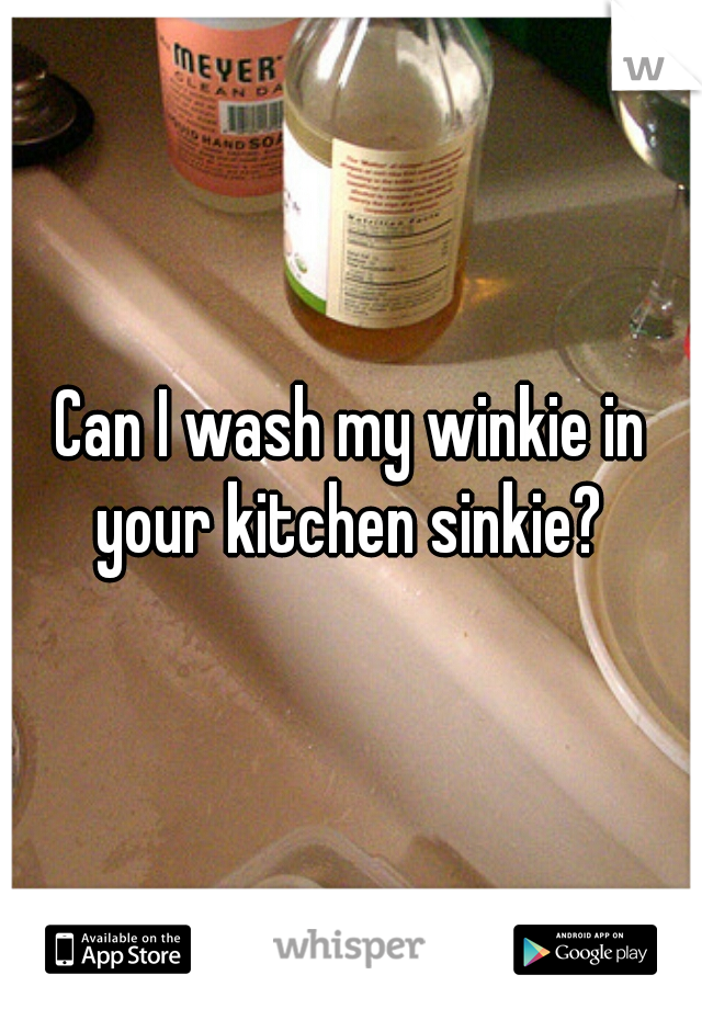 Can I wash my winkie in your kitchen sinkie? 