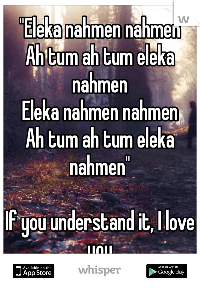 "Eleka nahmen nahmen
Ah tum ah tum eleka nahmen
Eleka nahmen nahmen
Ah tum ah tum eleka nahmen"

If you understand it, I love you 