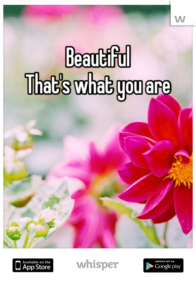 Beautiful 
That's what you are
